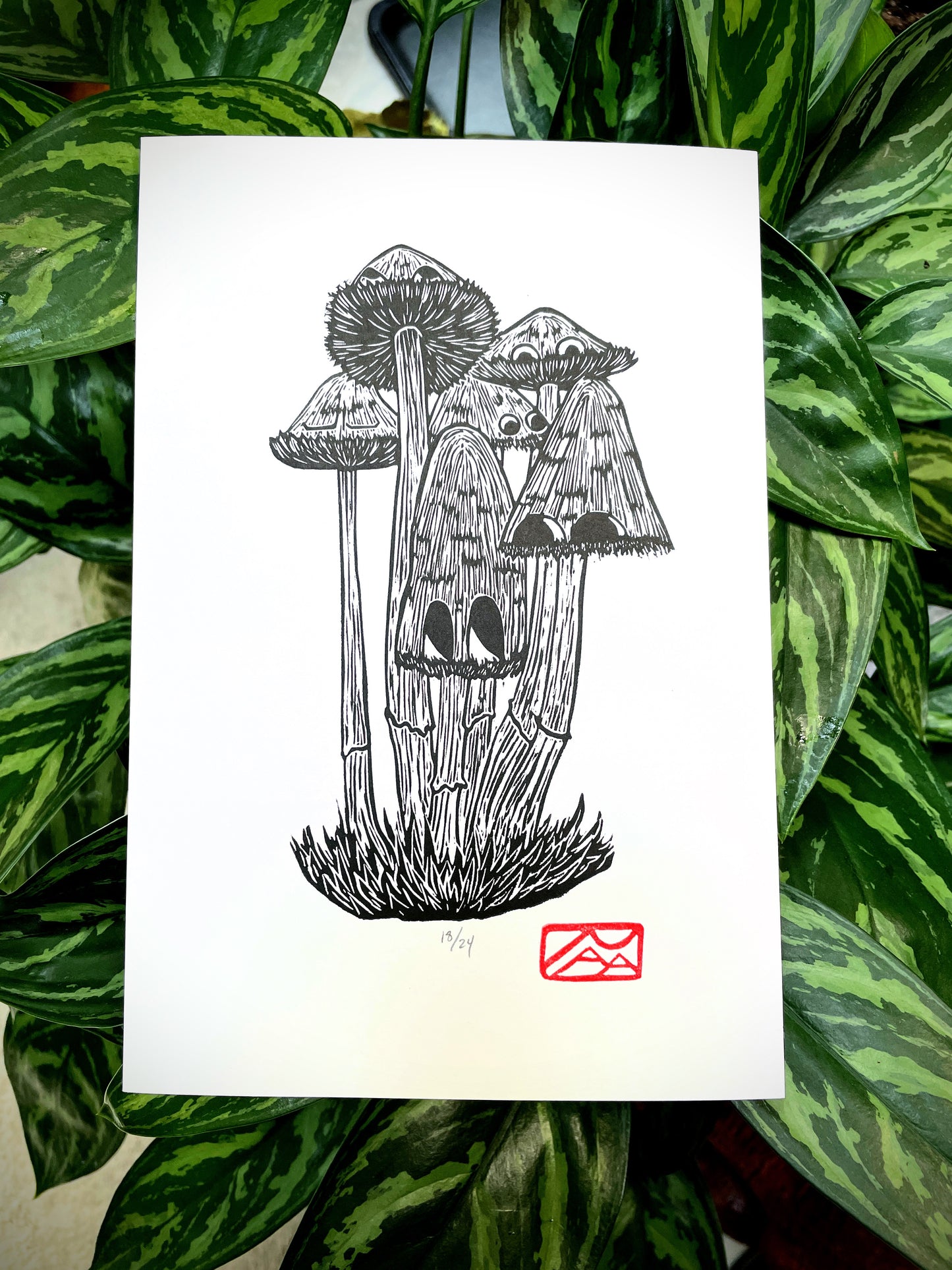 Silly Mushies
