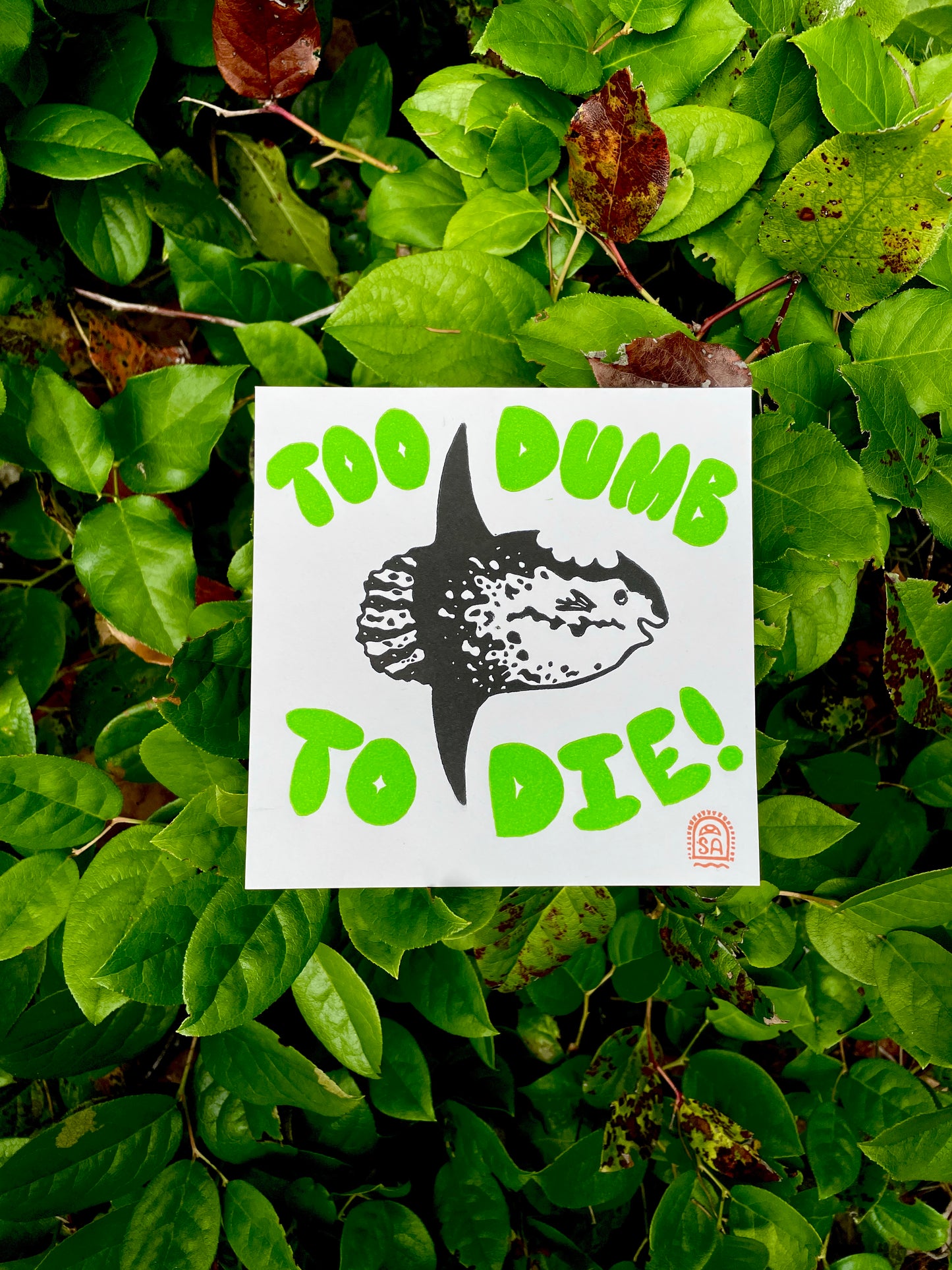 Too Dumb to Die