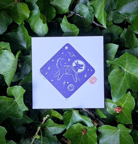 Space Walk