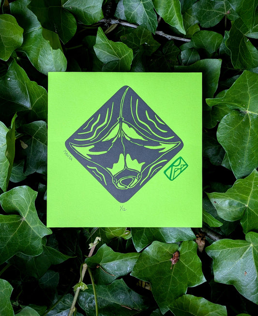 Manta